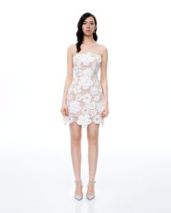 Leander Embroidered Lace Mini Dress - White
