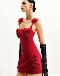 Alternative view of Elaina Rosette Applique Mini Dress - Red