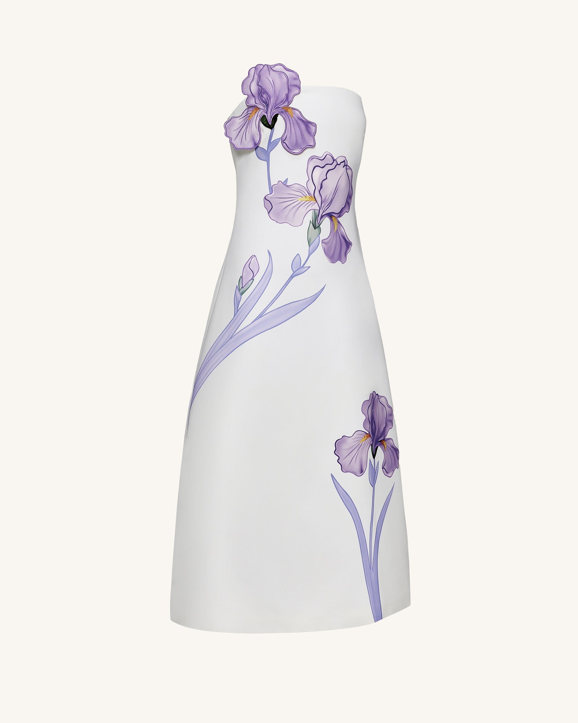 Iris Floral Print Strapless A-Line Maxi Dress - White - Image 3
