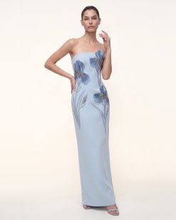 Iris Embroidered Strapless Maxi Dress - Light Blue